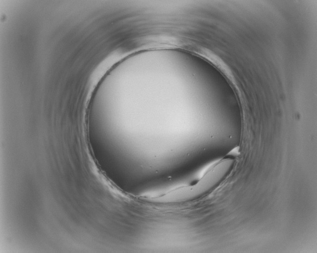 X0000070881488200607071935