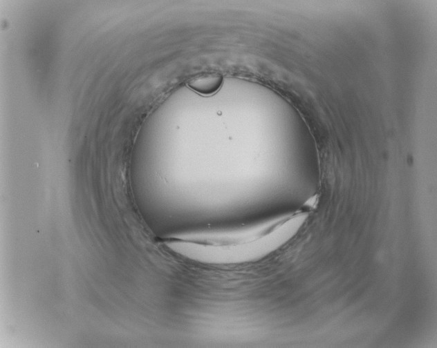 X0000070881489200607071934