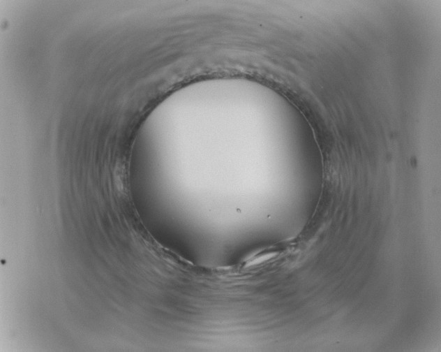 X0000070881490200607071934