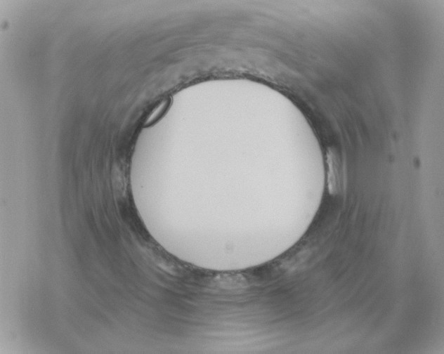 X0000070881491200607071934