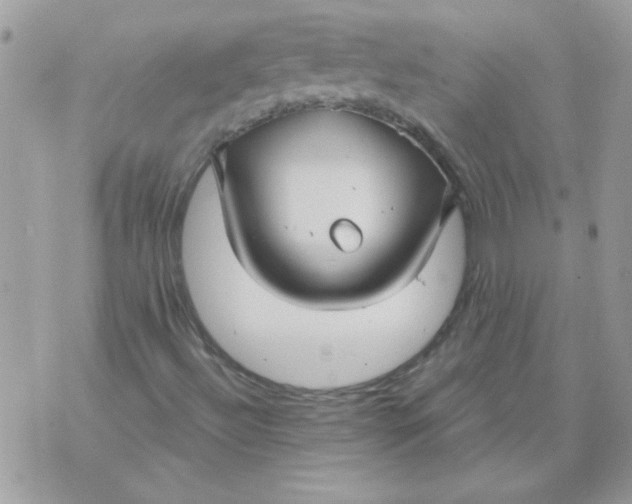 X0000070881492200607071934