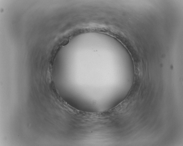 X0000070881493200607071934