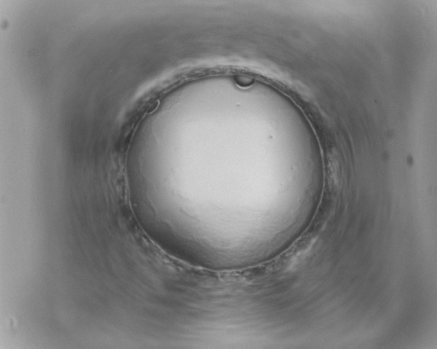 X0000070881494200607071934