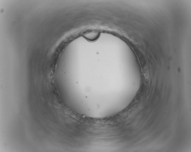 X0000070881495200607071934