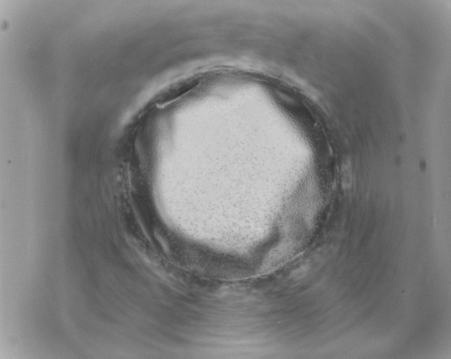 X0000070881496200607071934