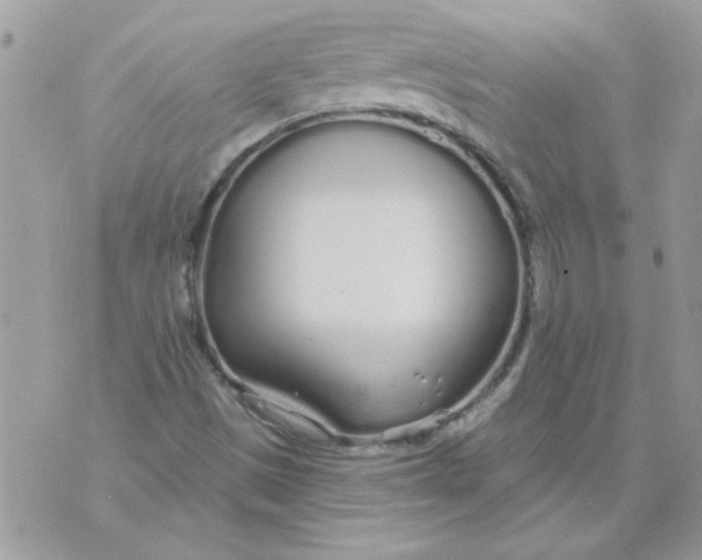 X0000070881497200607071934