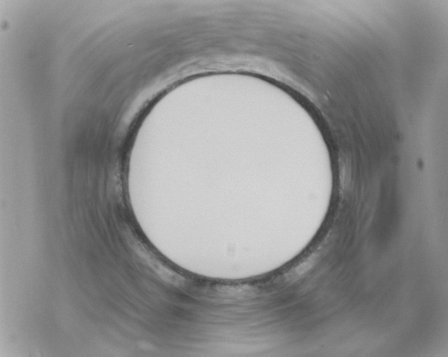 X0000070881498200607071934