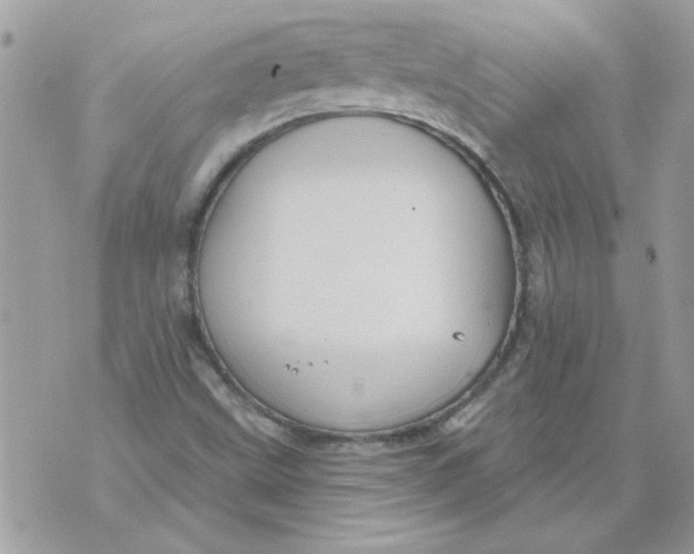 X0000070881499200607071934