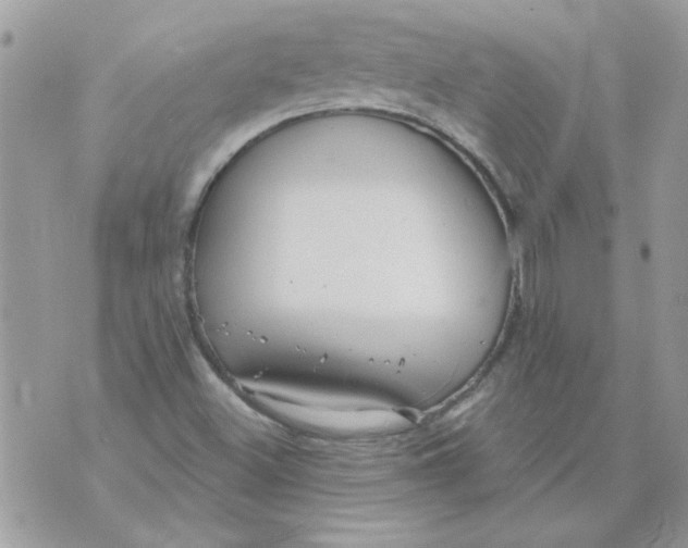 X0000070881500200607071935