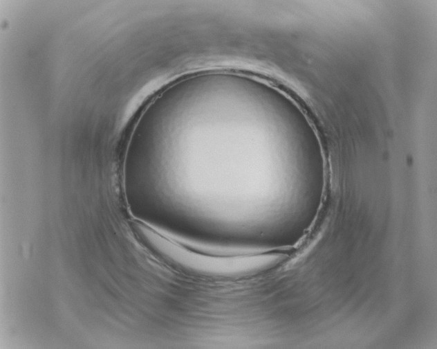 X0000070881501200607071935