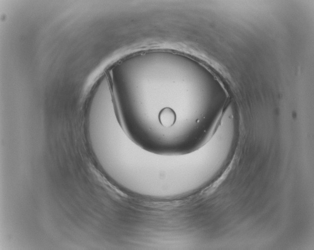 X0000070881502200607071935