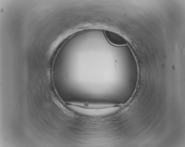 X0000070881503200607071935