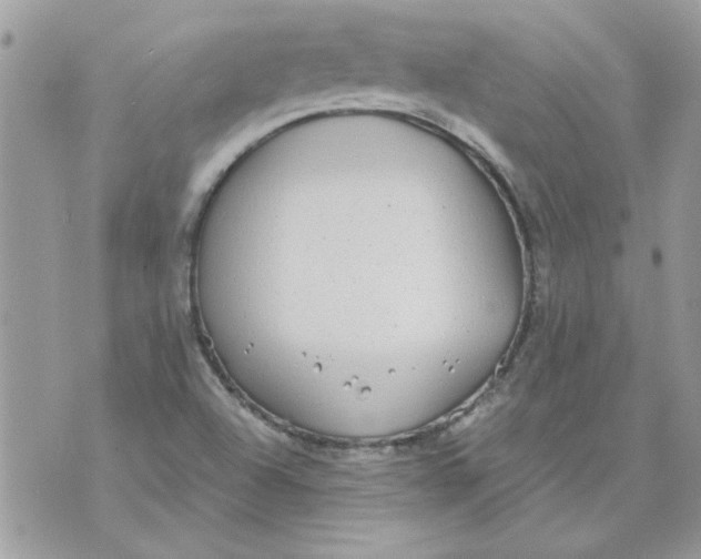 X0000070881504200607071935