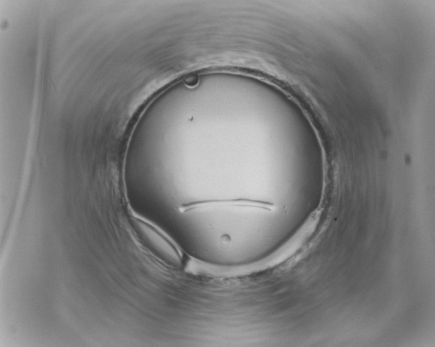 X0000070881505200607071935