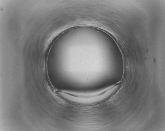 X0000070881507200607071935