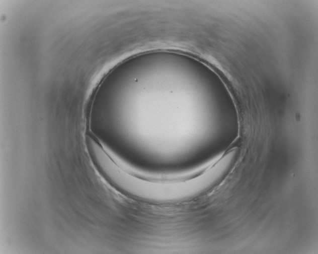 X0000070881508200607071935