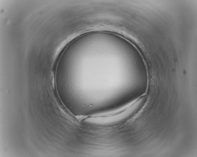 X0000070881509200607071935