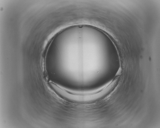 X0000070881510200607071935