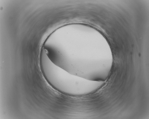 X0000070881512200607071935