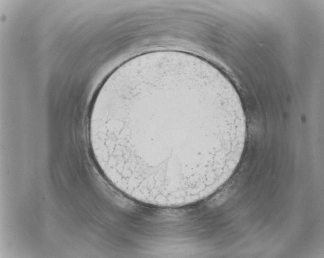 X0000070881514200607071935