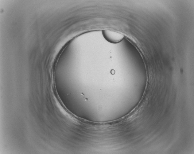 X0000070881515200607071935