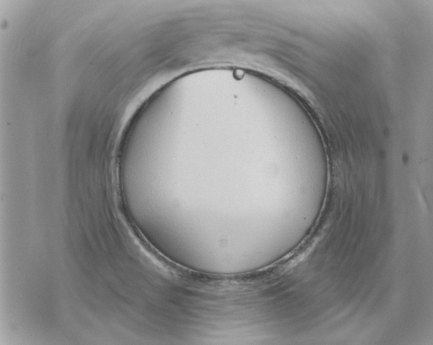 X0000070881517200607071935