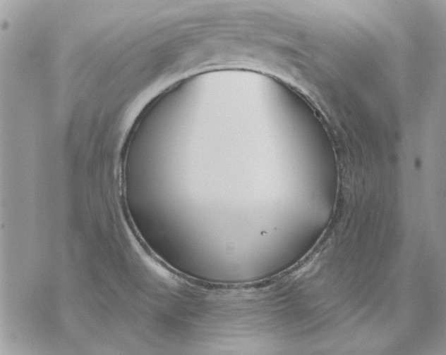 X0000070881519200607071935