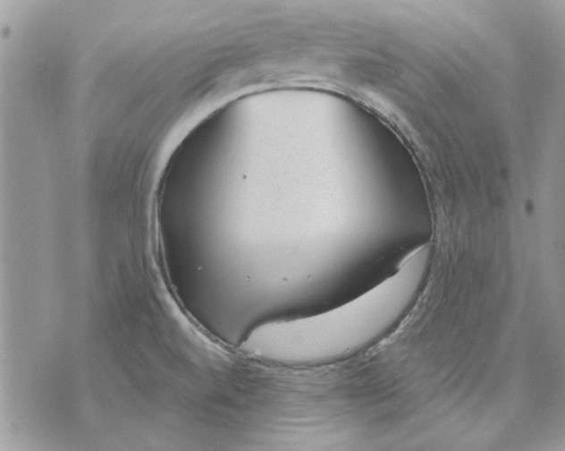 X0000070881520200607071935