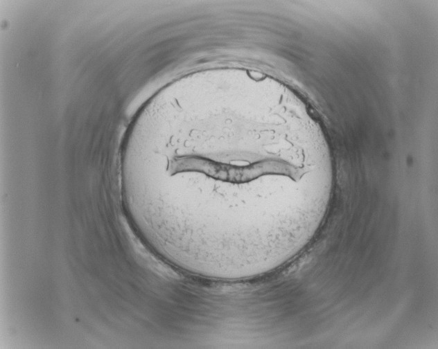 X0000070881522200607071935