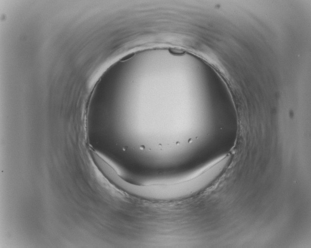 X0000070881524200607071935