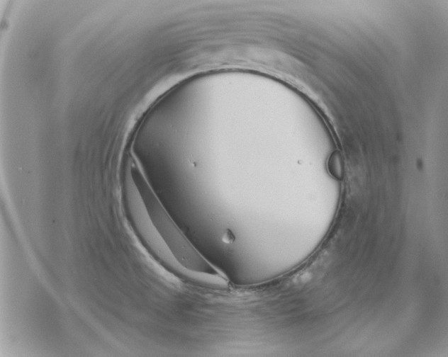 X0000070881525200607071935