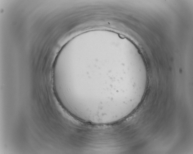 X0000070881526200607071935