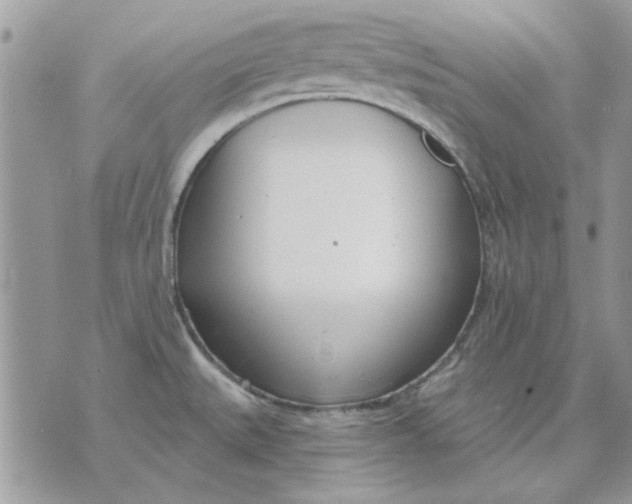 X0000070881527200607071935