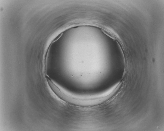 X0000070881528200607071935