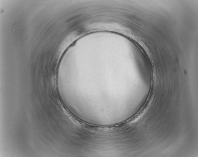 X0000070881529200607071935