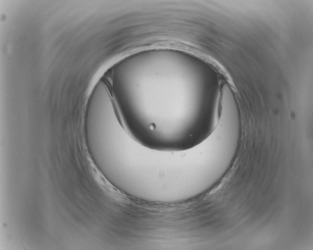 X0000070881530200607071935