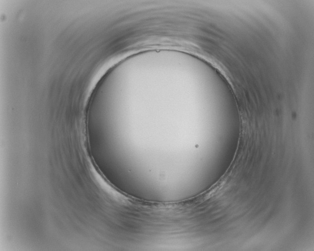 X0000070881531200607071935