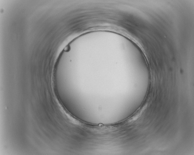 X0000070881533200607071935