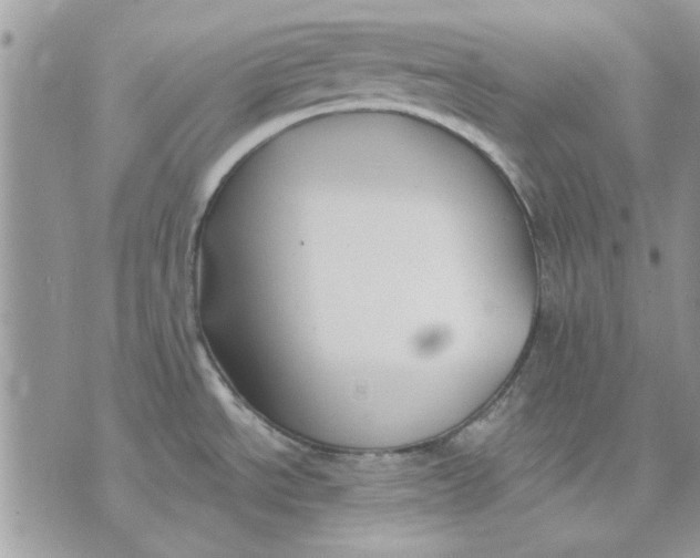 X0000070881534200607071935