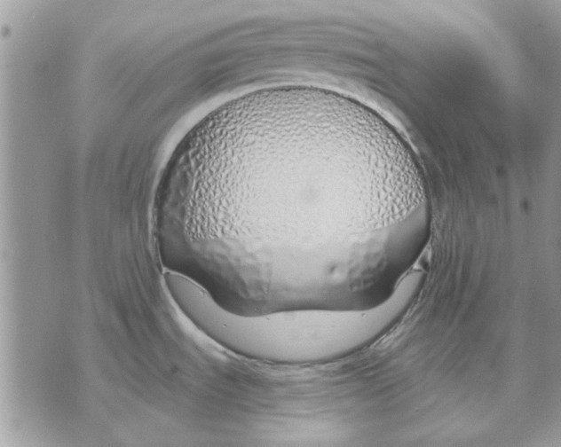 X0000070881535200607071935