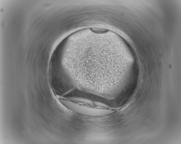 X0000070881536200607071935