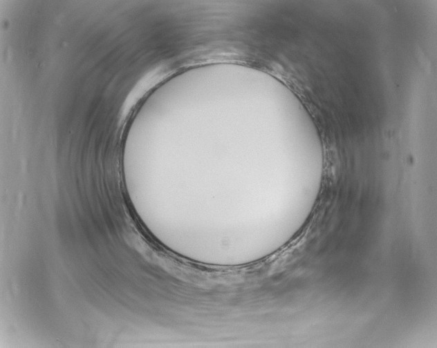 X0000070880004200607150158