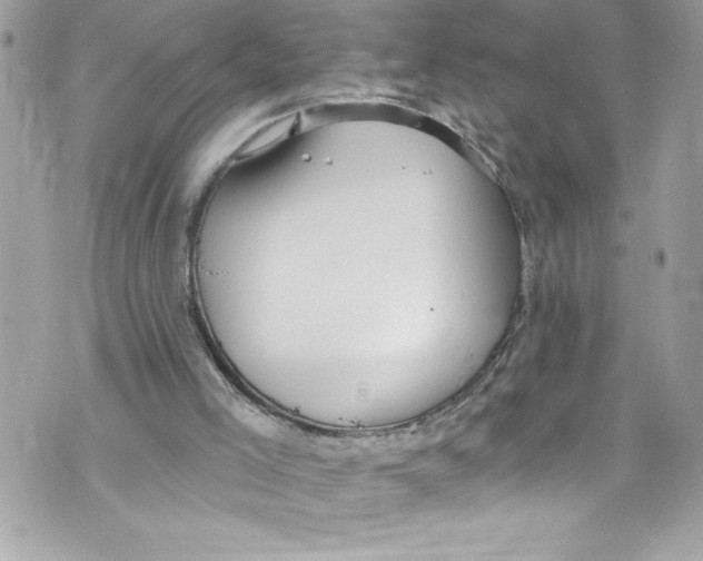 X0000070880005200607150158