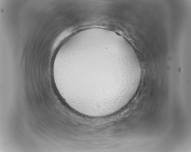 X0000070880006200607150158