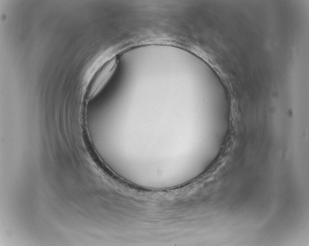 X0000070880007200607150158