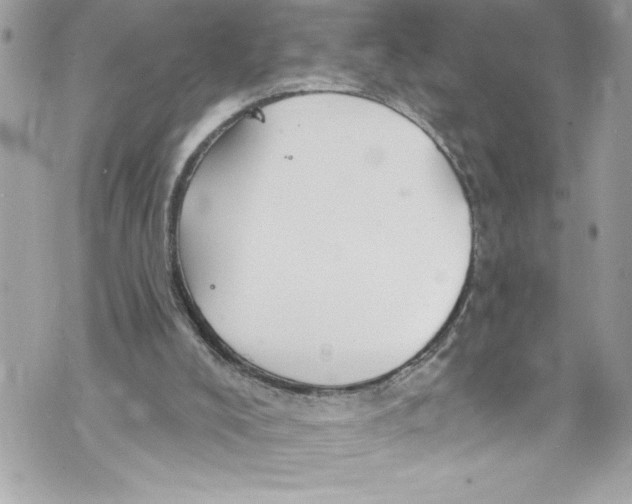 X0000070880008200607150158