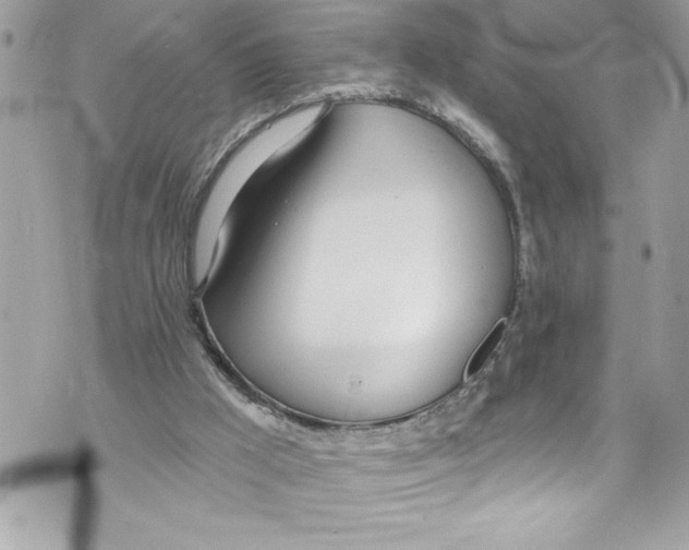 X0000070880009200607150158