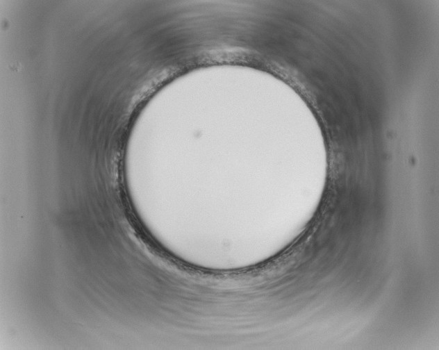 X0000070880010200607150157