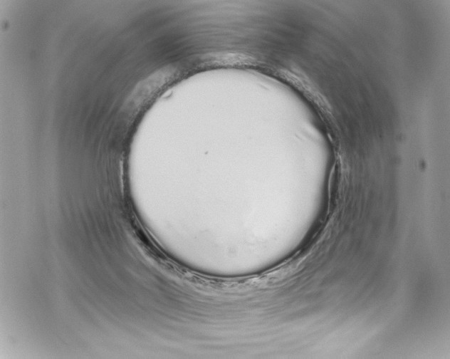 X0000070880014200607150157