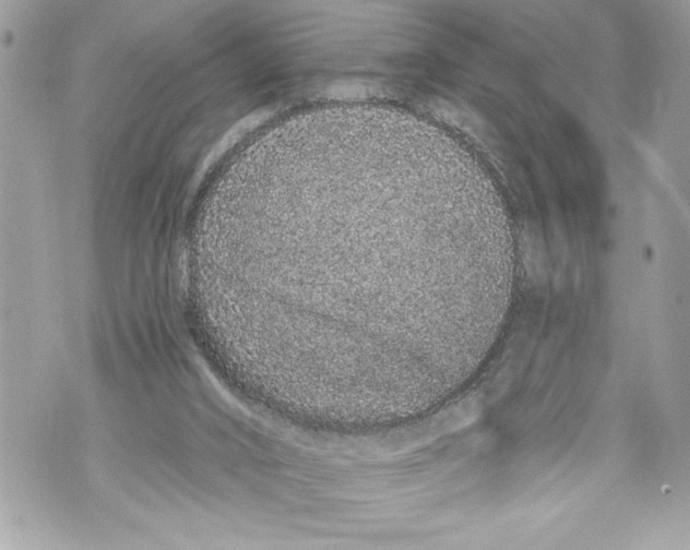 X0000070880016200607150157